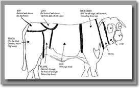 cow brand diagram
